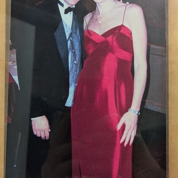 Red Silk Dress - Picture 5 of 5